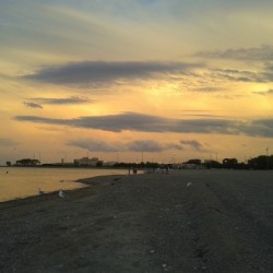 Sun Set 2